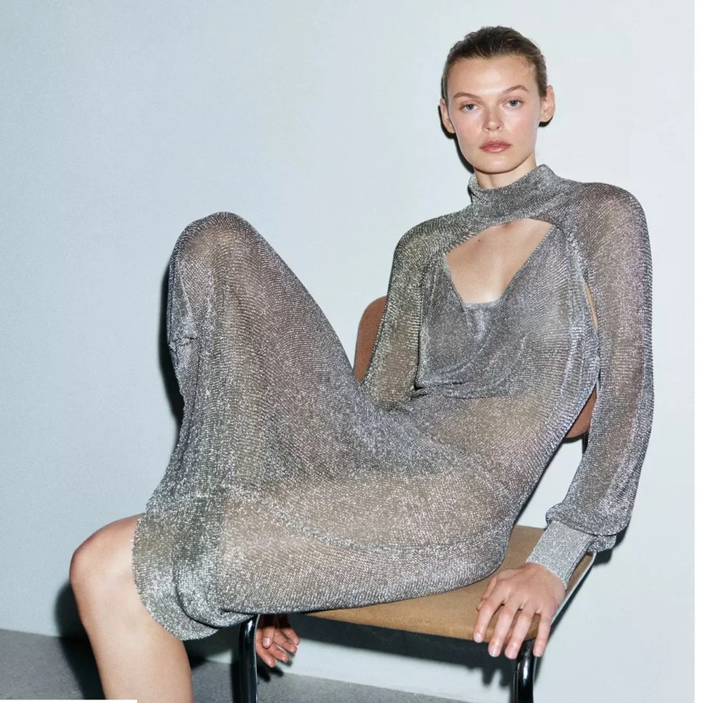 ZARA METALLIC THREAD MESH DRESS LIMITED EDITION - Picture 3 of 12